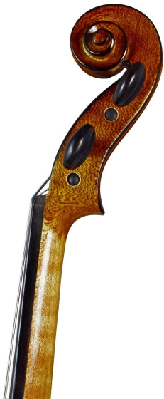 Sarasate Élève Violin