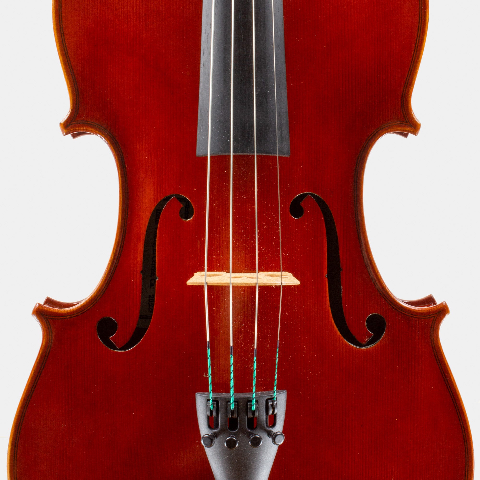 Viola Samples 101 Model Viola