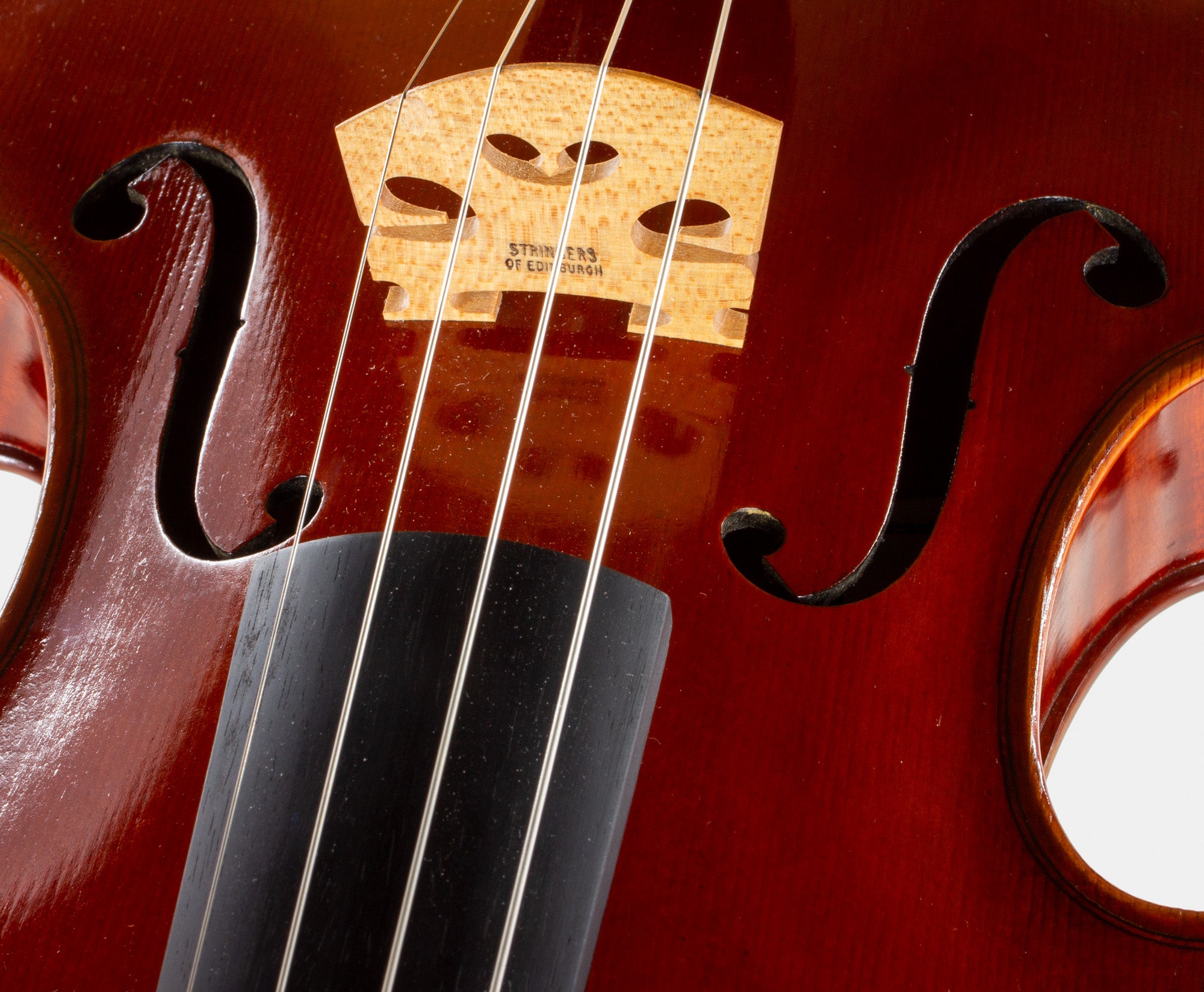 101 Model Viola