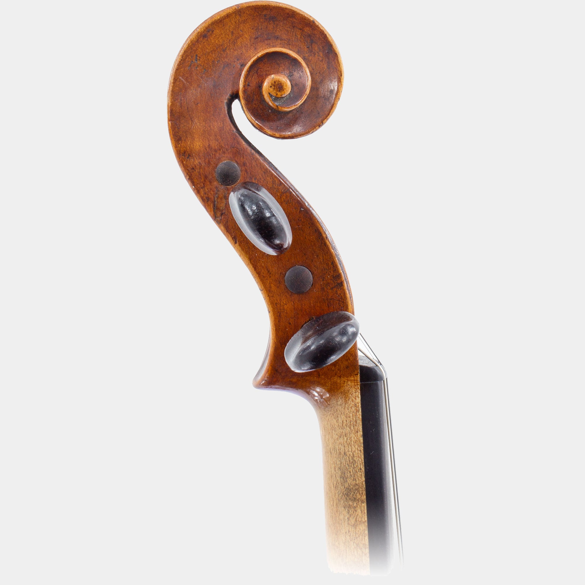 Violin by Matthew Hardie, Edinburgh, c.1815