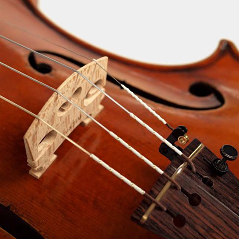 Amber Violin A String