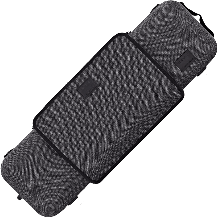 Gewa bio violin case discount