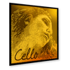 Pirastro Evah Pirazzi Gold Cello A string - Stringers Music
