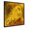 Pirastro Evah Pirazzi Gold Cello G string - Stringers Music