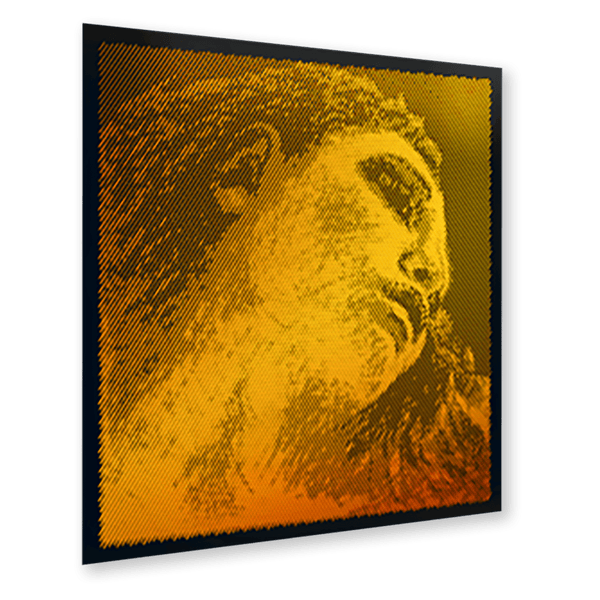 Pirastro Evah Pirazzi Gold Violin E string - Stringers Music