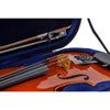 Stringers Superior Violin Outfit - Stringers Music