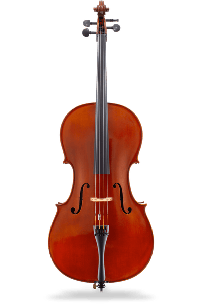 Jay Haide 101 Cello - Stringers Music