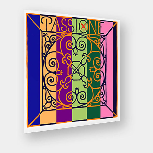 Passione Violin D string