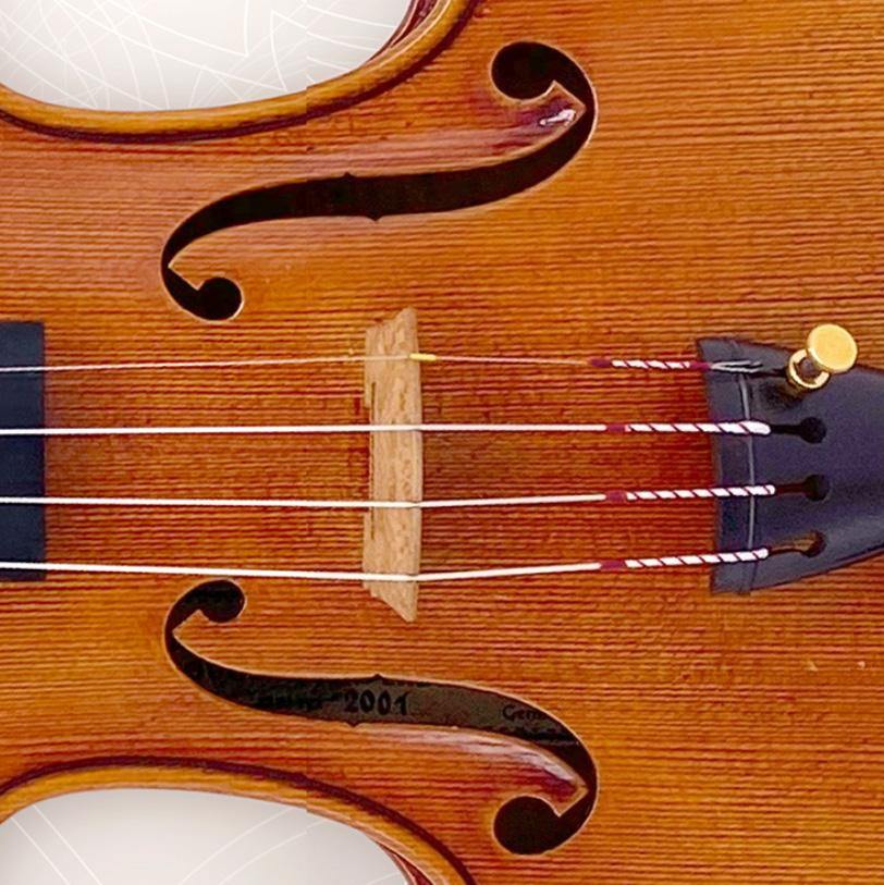 Pirastro Perpetual Violin G string - Stringers Music