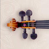 Pirastro Perpetual Violin G string - Stringers Music