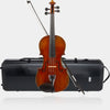 Master Violin Outfit