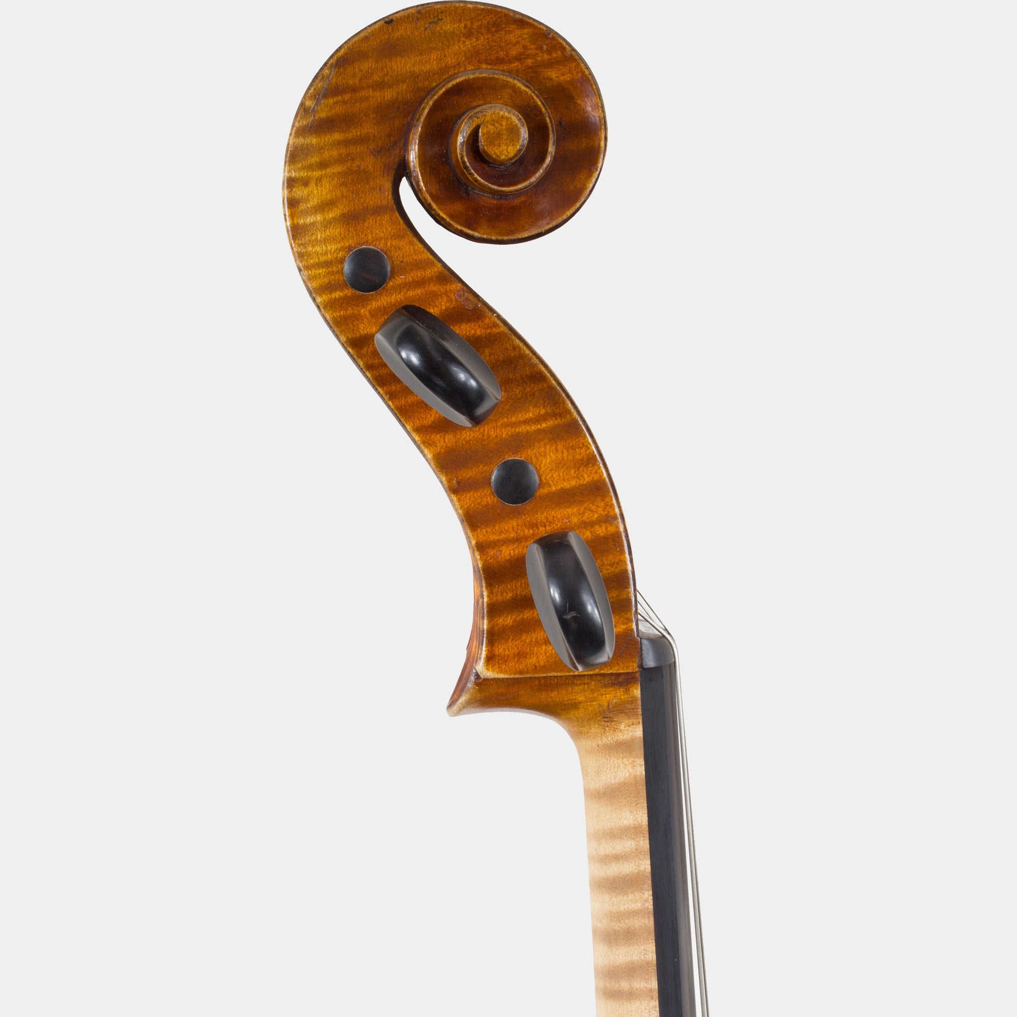 Cello by Paul Bailly, Paris, 1876