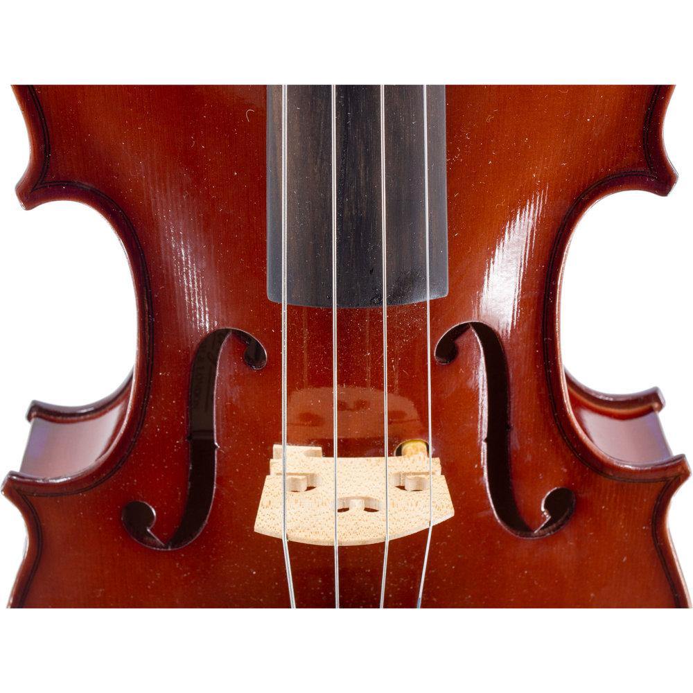 Stringers Standard Viola Conversion Outfit - Stringers Music